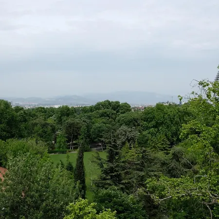 Royal Capital Thermal & Bursa
